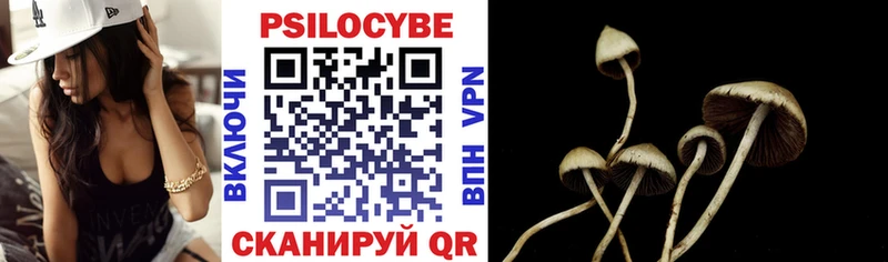 дарнет шоп  Бор  Псилоцибиновые грибы Psilocybine cubensis 